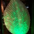 A prototype Beech Leaf is on display in Benny's Spirit Shop. Photo by Emily Topilow.