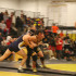 Albaugh