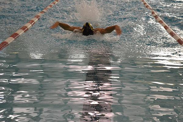BHS Swim Team Competes in District Tournament, Shows Improvement