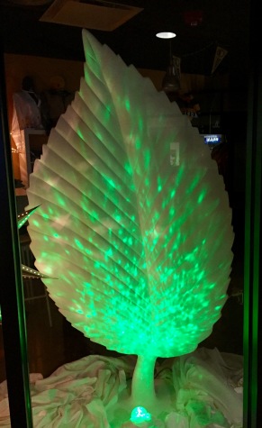 A prototype Beech Leaf is on display in Benny's Spirit Shop. Photo by Emily Topilow.