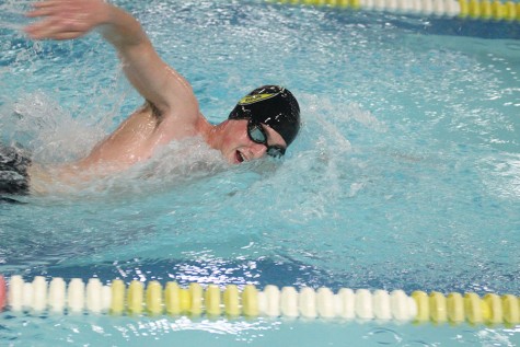 Six Swimmers Headed to States