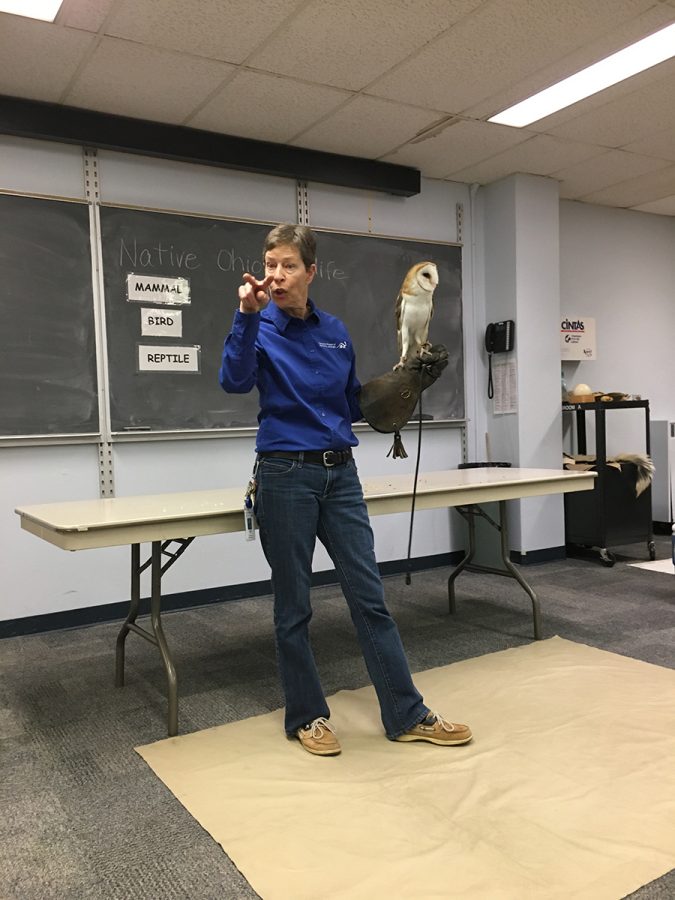 On the March 13 visit to the Natural History Museum, CEC students learned how an owl targets her prey. Photo by Emily Einhorn.