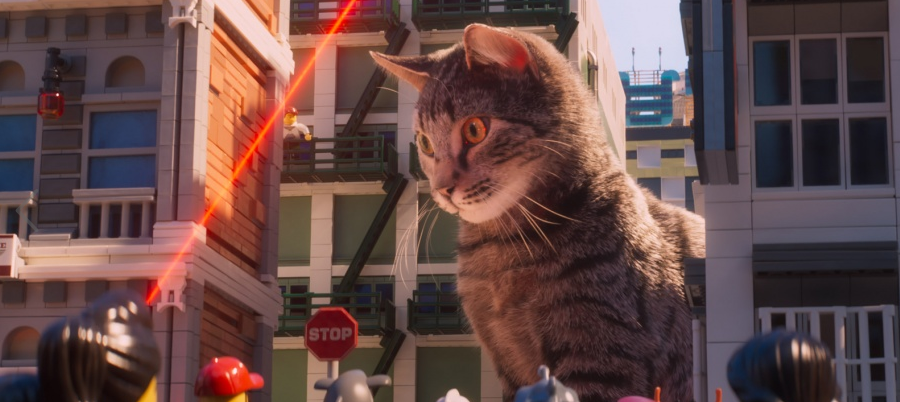 Neither faction wants to see their plans foiled by this killer kitty. Image source: Warnerbros.com