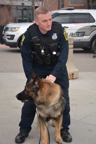 The K9 team used eight German Shepherds during the search of BHS. Photo by Gabriela Covolan Costa.