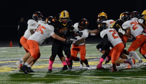 Bison Football Finishes Season 6-4 With Loss to Orange