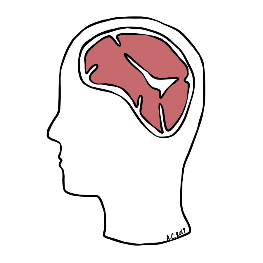 A human's brain replaced with steak, illustrated by the author.