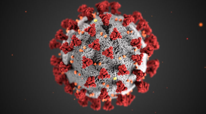 The omicron receptor-binding domain (RBD) and N-terminal domain (NTD) both have 15 and 11 mutations, respectively, which  cause a significant reduction in plasma neutralizing activity in infected or vaccinated people, which means there is a significant reduction in antibodies to fight the virus. 