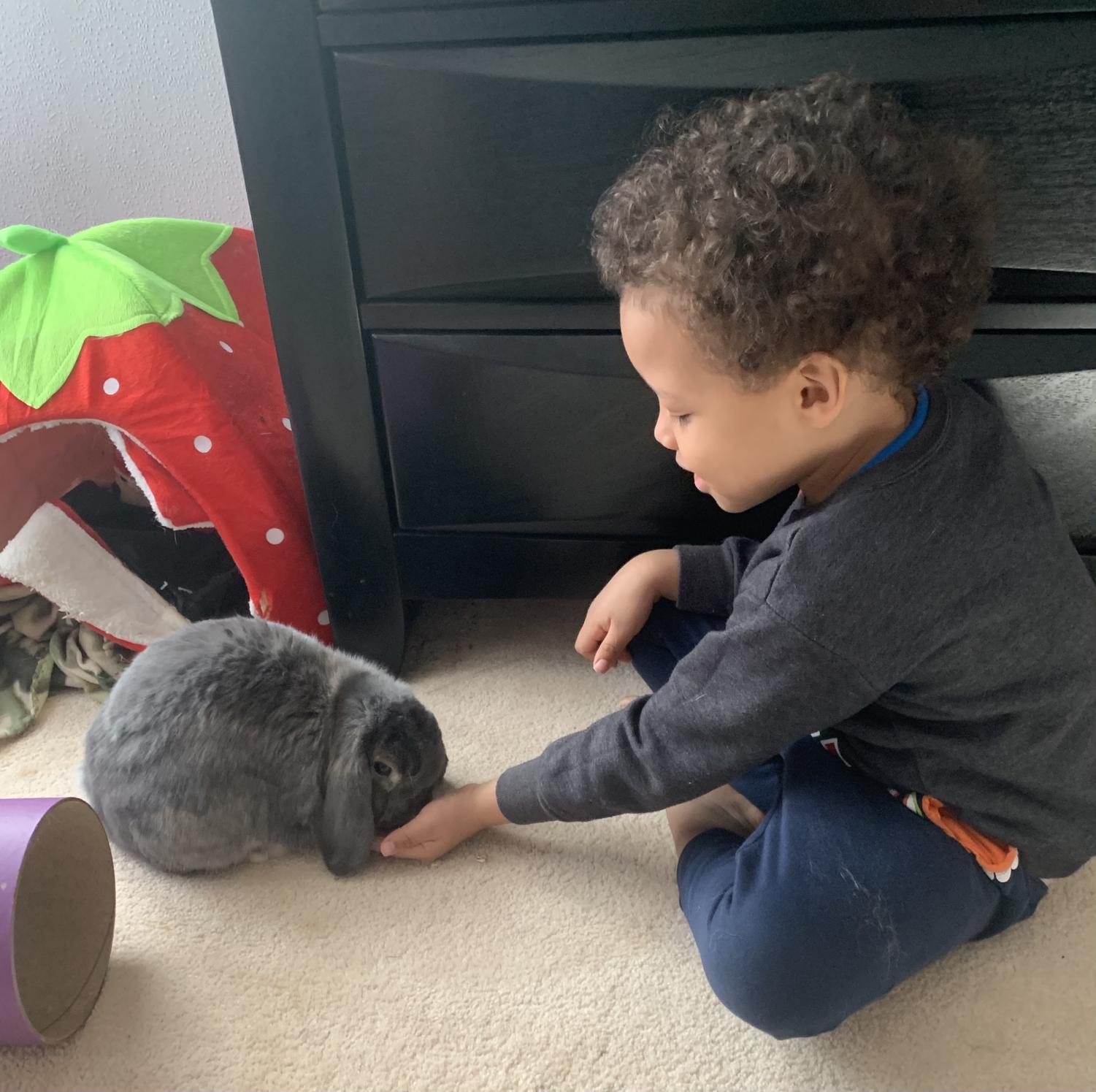 Sarah Carringtons nephew Ivan meets her rabbit Max.