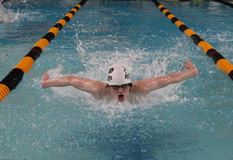 Bison Swimmers & Divers Dominate