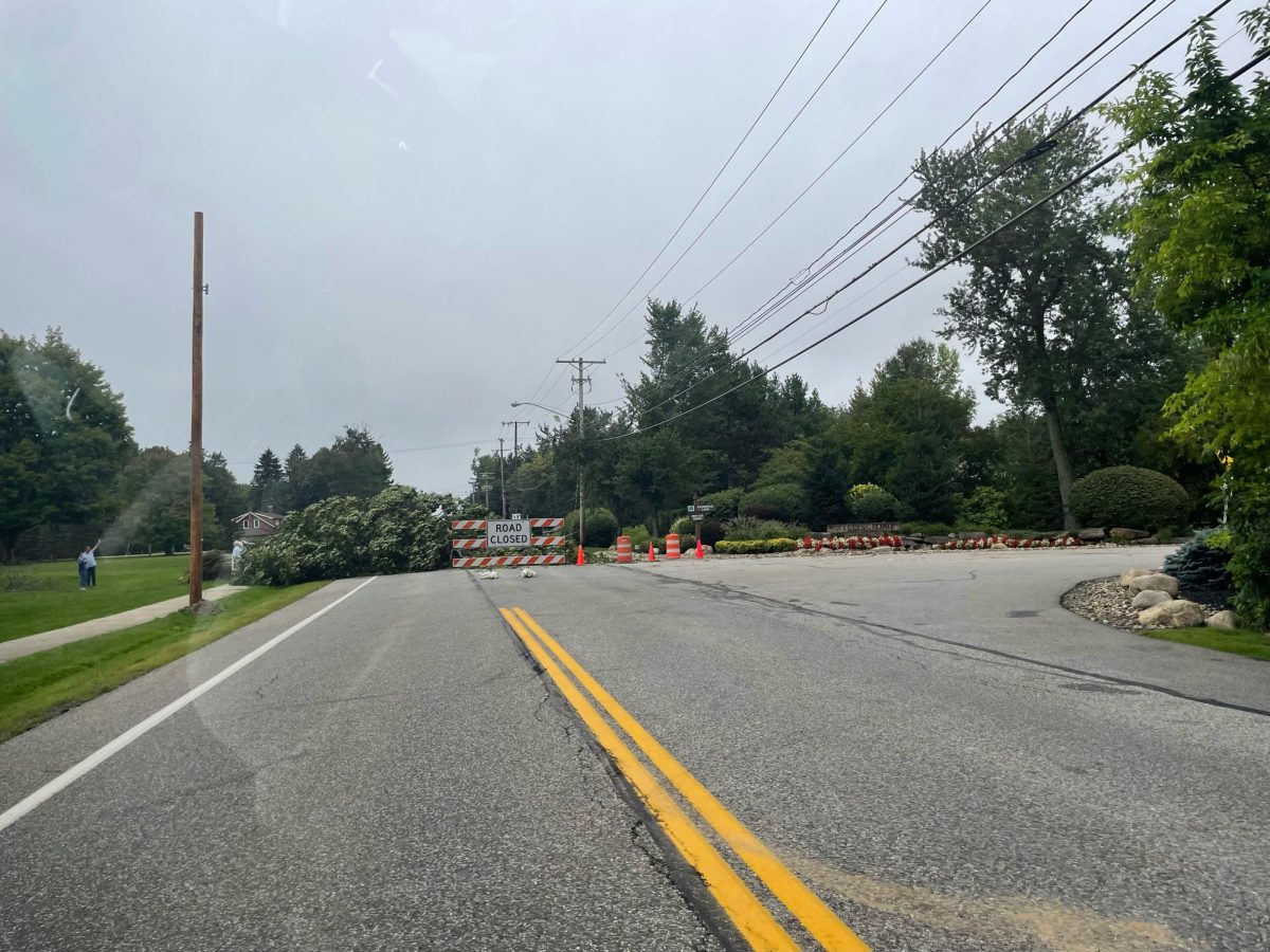 While there was no confirmed tornado in Beachwood, ferocious winds snapped multiple trees in half and bent a power pole on Fairmount Boulevard.