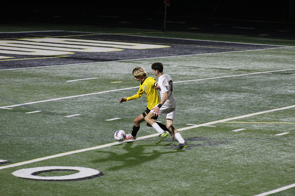 Dimitrijevic defends against a a Lions advance on goal.
