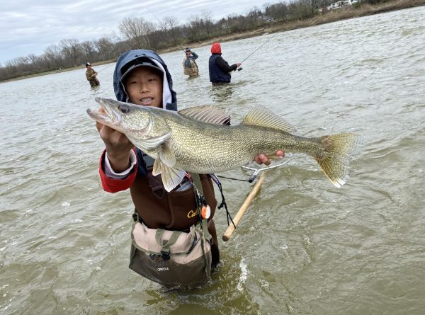 Derek Fan shows off a walleye he caught in the Maumee river. Photo courtesy of Derek Fan