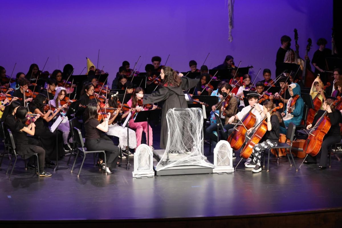 The orchestra played Halloween-themed music at the Spooktacular. Musicians wore costumes, and the performance incorporated special effects, videography, spoken word and dance. Photo courtesy of Allison Siekmann.
