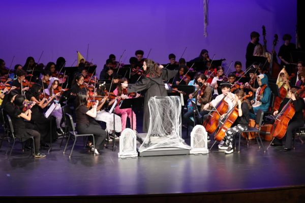 Orchestra Makes Music, Builds Community