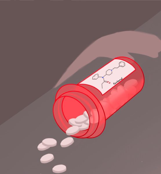 In 2022, drug overdose killed an average of 22 high school age adolescents each week in the United States.