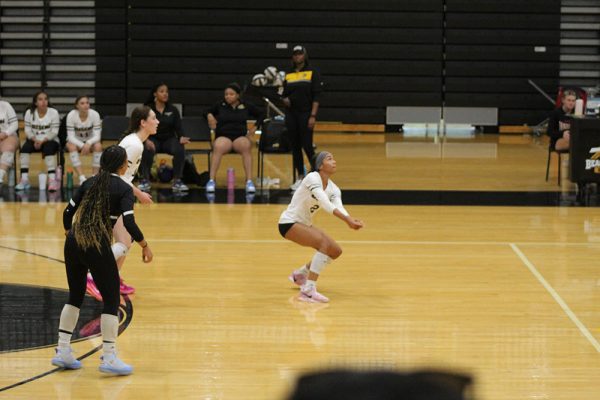 Junior Kaylin Hilliard prepares to bump the ball back to the Fairview side.